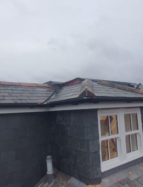 WhatsApp Image 2025-01-06 at 18.30.24 (1)