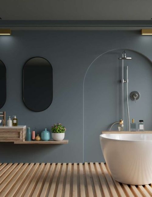 modern-bathroom-interior-design-bathroom-with-blan-2023-02-10-15-18-00-utc